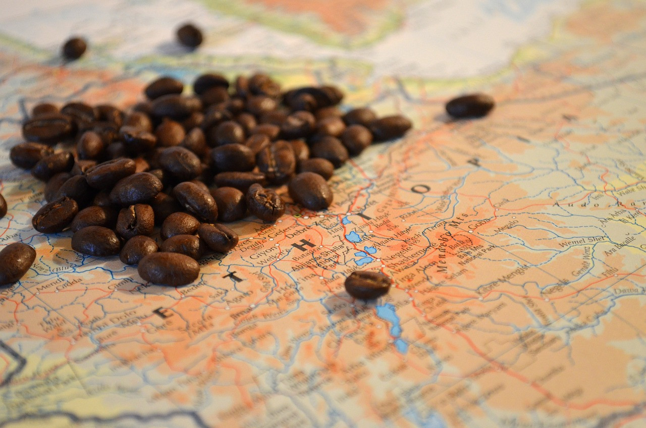 Caffè Ethopia sidamo